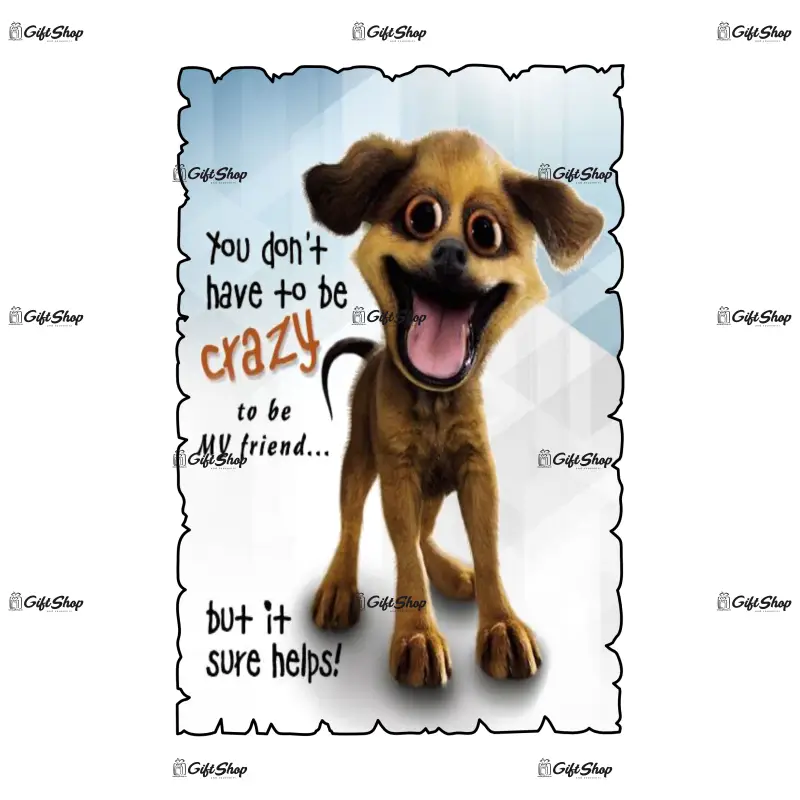 Mgs073-magnet frigider-you don t have to becrazy